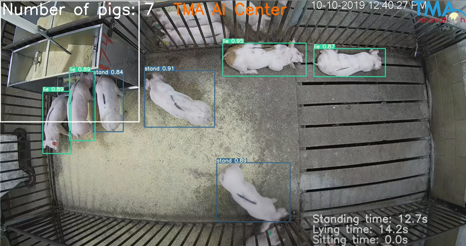 Pig Abnormal Activity Detection Using Computer Vision Technology