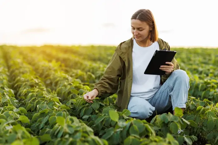 Farm monitoring is one of the IoT examples