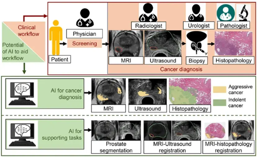 AI can use computer vision and ML solutions to analyze medical data
