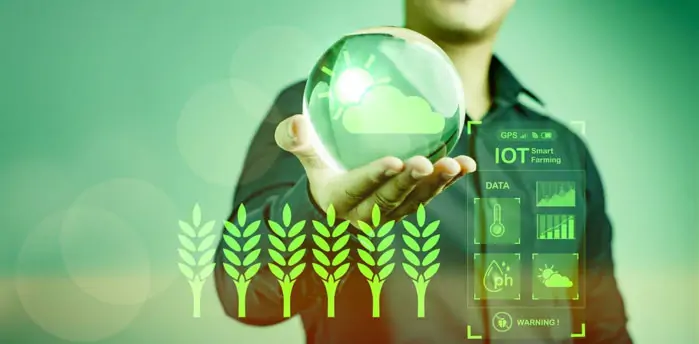 Remote monitoring for conservation with edge computing Edge computing use cases for sustainability