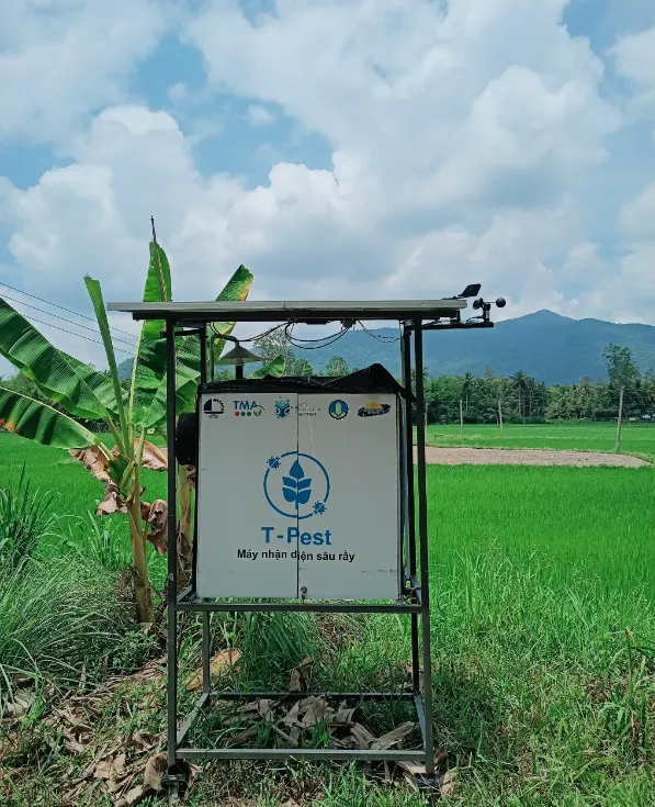 TMA's T-Pest is located in Binh Dinh