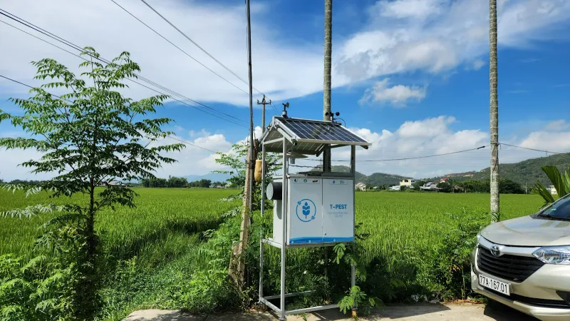 AI-powered T-Pest device analyzing rice pests at Binh Dinh province