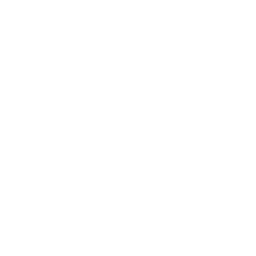 Embedded Software