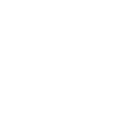 Application Development