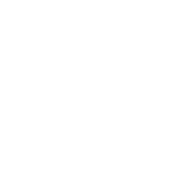 Porting & Optimization