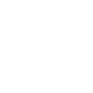 Web - Mobile Developers